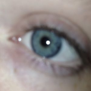 Meet your Posher, Molly